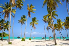 Tropisch strand met palmbomen_561966820
